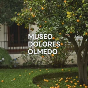 Dolores Olmedo Museum - Waitlist