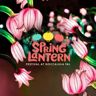 Spring Lantern Festival - Waitlist