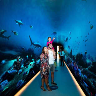 The View at The Palm: The View (Level 52)