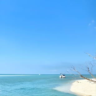 Half-Day Private Tiki Boat Beach Tour from Fort Myers