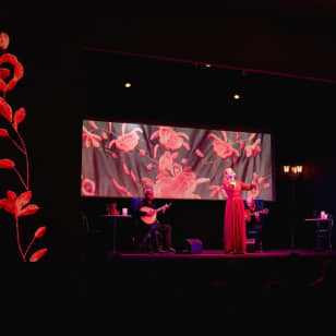 ﻿Fado in Chiado, a live fado show on stage for 15 years.