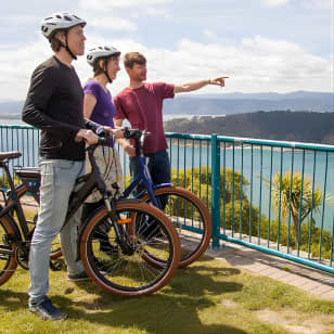 Guided Wellington Sightseeing Tour by Electric Bike