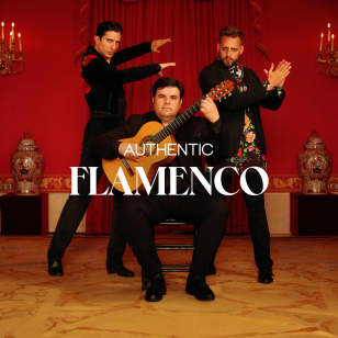 Authentic Flamenco Presents Ricardo Fernandez Del Moral in Madison