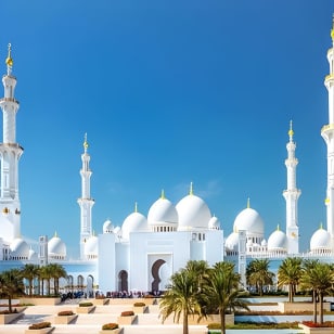 Abu Dhabi City Tour with Desert Safari Adventure