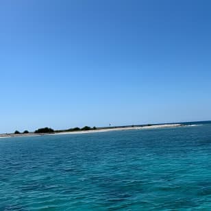 Puerto Rico: Bio Bay Swim and Sunset Charter or Late-Night Tour