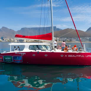 1- Hour Catamaran Cruise Cape Town