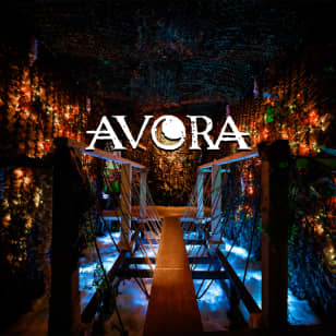 Avora: A New World Cocktail Experience