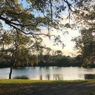 Peacocks, Presidents and Puzzles - The Winter Park Walking Tour + Boat Tour