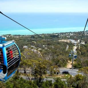 Mornington Peninsula: Arthurs Seat Eagle Gondola Ticket