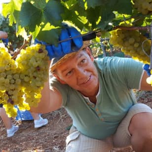 Mallorca: Führung durch Weinkellerei und Ölmühle + Verkostungen + Hin- und Rücktransfer