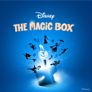 Disney The Magic Box - Johannesburg