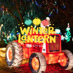 Winter Lantern Festival (Tysons, VA) - Waitlist