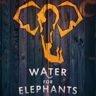 Water for Elephants on Broadway Ticket