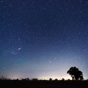 Stargazing & Night Skies by Pfeiffer Wines