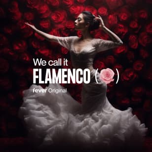 ﻿We call it Flamenco: een unieke Spaanse dansshow