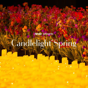 Candlelight Spring: Tribute to Adele