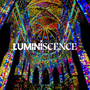 LUMINISCENCE UK - Waitlist
