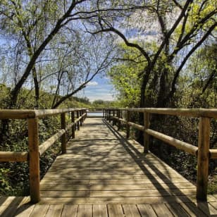 ﻿Doñana National Park and El Rocío: Excursion from Seville