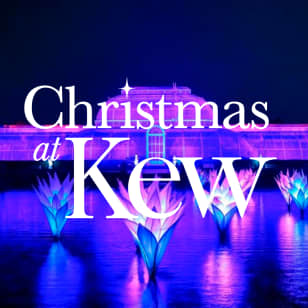 Christmas at Kew - Waitlist