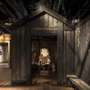 Vikingamuseet: Entrébiljett