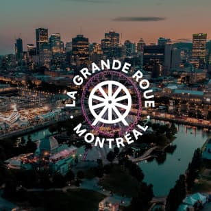 La Grande Roue de Montréal - VIP