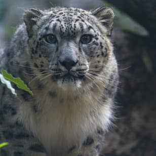 San Diego Zoo