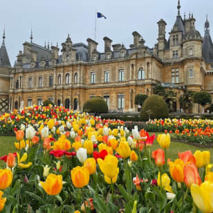 Grounds at Waddesdon Manor