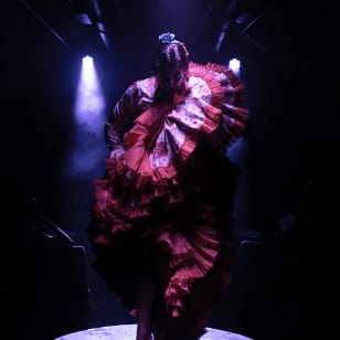 Show de Flamenco con cena o consumición en La Carmela