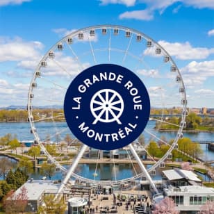 La Grande Roue de Montréal - VIP