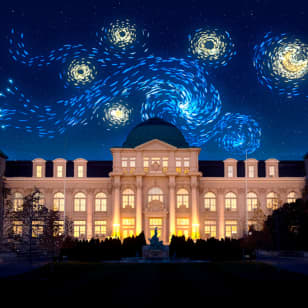 Van Gogh's Starry Nights at NYBG - Waitlist