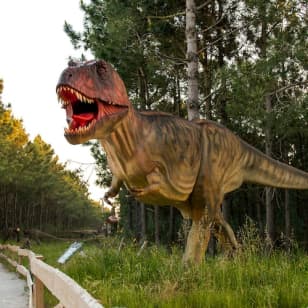 ﻿Dino Parque Lourinhã