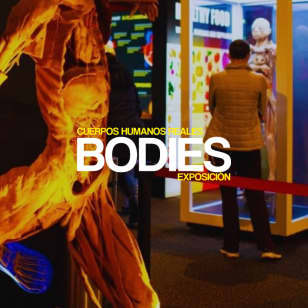 Bodies Evolution en Málaga