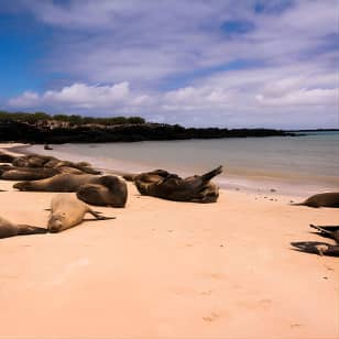 Day Trip to Santa Fe Island from Puerto Ayora