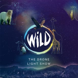 WILD: The Drone Light Show - Nottingham