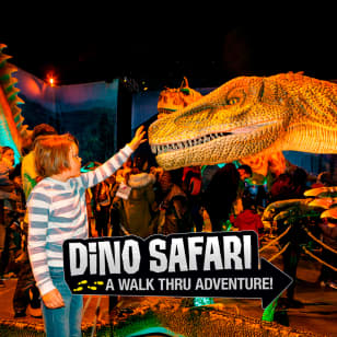 Dino Safari: A Walk-Thru Adventure