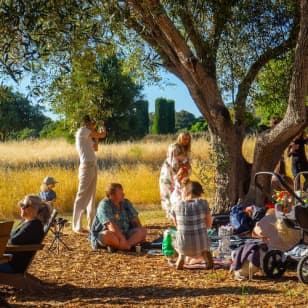 Filoli Gardens Summer Nights