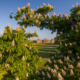 Echoes of Blenheim Palace: An Immersive Storytelling Adventure