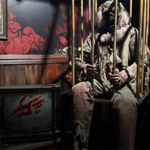 Grupo Dreams: Casa do Terror