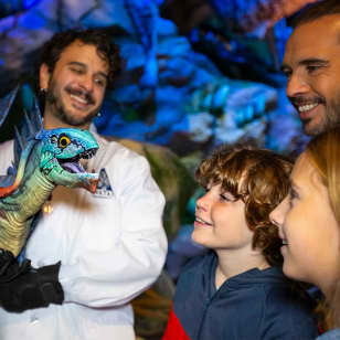 Avatar: The Experience