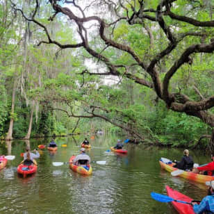 ﻿Medio día de alquiler de kayak y paddle board en el pintoresco Canal de Dora