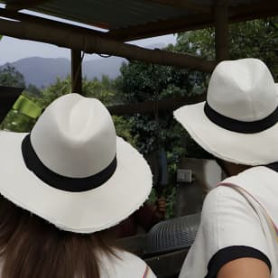 Tour a una finca cafetera desde Bogotá - Conviértase en agricultor por un día