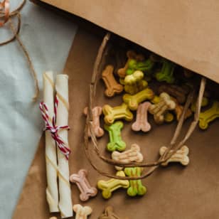 Cook for Your Pup: Nutritious Meals & Treats in DC