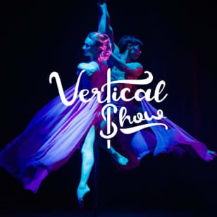 Vertical.Show by Pink Puma: An Award-winning Pole & Aerial Show