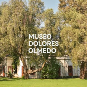 Museo Dolores Olmedo - Lista de espera