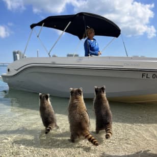 Miami Boat Tour to Raccoon Island, Snorkel in Haulover Sandbar & Billionaires Bunker
