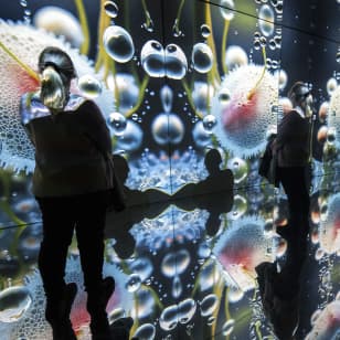 Origins: Ursprung des Lebens