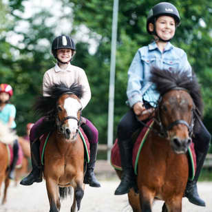 ﻿Birthday among the ponies (10 children)