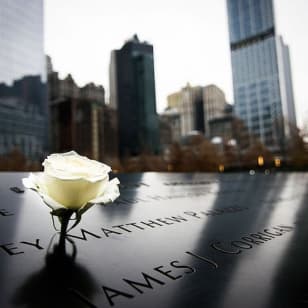 9/11 Memorial & Museum: Entry Ticket