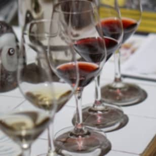 ﻿Cata de vinos 101 - NYC