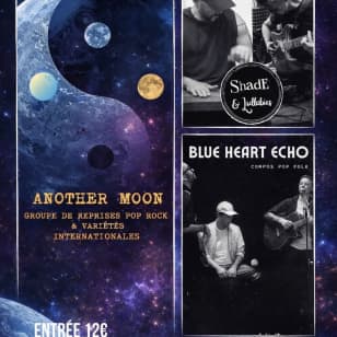 Concerts live toute la soirée!